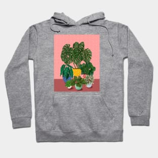 Colourful House Plants 3 Hoodie